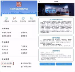 深圳开创国企公共服务 集中接入城市移动政务平台先河