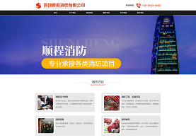 成功案例_广州网站建设_深圳网站建设_合优网站制作_企业网站建设案例