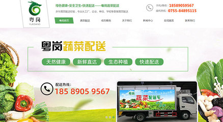 广东新杰膳食服务-东莞长安蔬菜配送网站建设成功案例