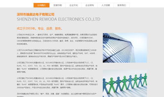 沙漠风 深圳网站建设的卓越领航者——瑞嘉达（深圳）网站建设公司解析